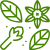 driedleaves@1x
